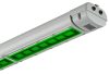 Zóna 1 LED SPX-WL 168-G