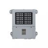 Robbanásbiztos LED lámpa SPX-MPBY12K5-W