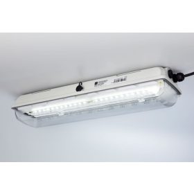 STAHL 6002/4128-0100-152-1110-11-8500 Zone 1 22W LED-Leuchte